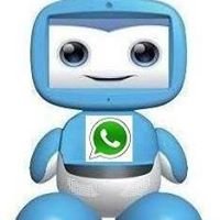 Bauru Online chat bot