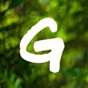Greenpeace Brasil chat bot