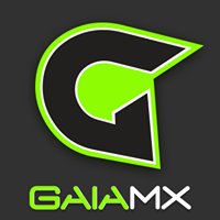 Gaiamx chat bot