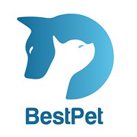 BestPet - Serviços para animais chat bot