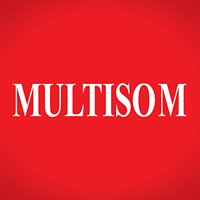 Multisom chat bot