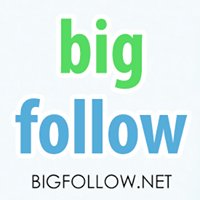 #BigFollow chat bot