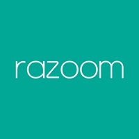 Razoom Pro chat bot