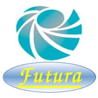 Futura Consultora chat bot