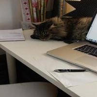 Home Office chat bot