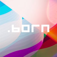 Born Concept chat bot