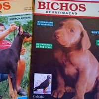 Revista Bichos.Com - Sobre Animais de Estimação chat bot