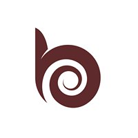 Best Bronze chat bot