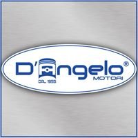 D'angelo Motori - Elaborazioni Personalizzazioni e Restauro Auto chat bot