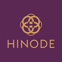 Grupo Hinode chat bot
