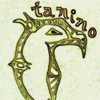 Banda Tanino chat bot