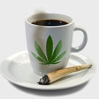 Café com Maconha chat bot