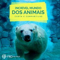 Incrível mundo dos animais chat bot