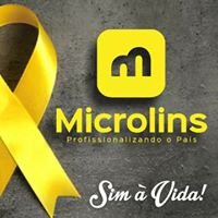 Microlins Timon chat bot