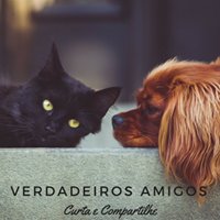 Verdadeiros Amigos chat bot