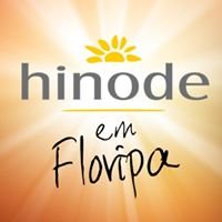Hinode Floripa chat bot