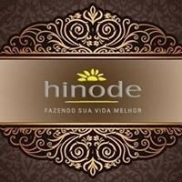 Consultoria de sucesso Hinode chat bot