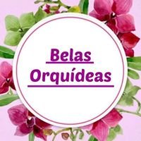 Belas Orquídeas chat bot