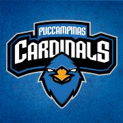 Puccamp Cardinals e-Sports chat bot