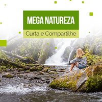 Mega Natureza chat bot